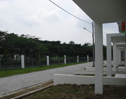 Kumpulan gambar hutan hujan tropis