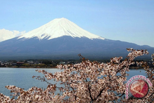 Halo Jepang Gunung Fuji | halo jepang gunung fuji new style for 2016 2017 Halo Jepang Gunung Fuji | halo jepang gunung fuji new style for 2016 2017