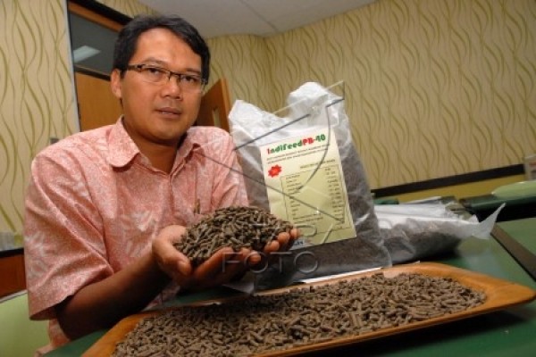 pakan baku bahan ternak Pakar: News kurangi ANTARA impor Konsentrat pakan solusi  hijau
