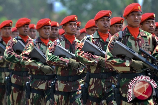 Kopassus Tni Dan Kementerian Kehutanan Tanam Bibit Pohon Kopassus Tni Dan Kementerian Kehutanan Tanam Bibit Pohon