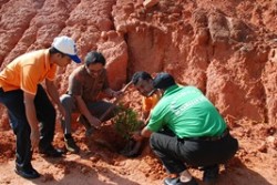 BP Batam Tanam Pohon Penghijauan pada Ujung Tahun