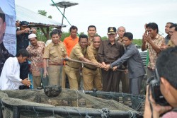 Gubernur Kepri Panen Perdana Kerapu Nelayan Karimun Gubernur Kepri Panen Perdana Kerapu Nelayan Karimun