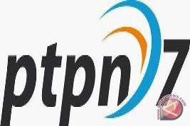 Logo Ptpn