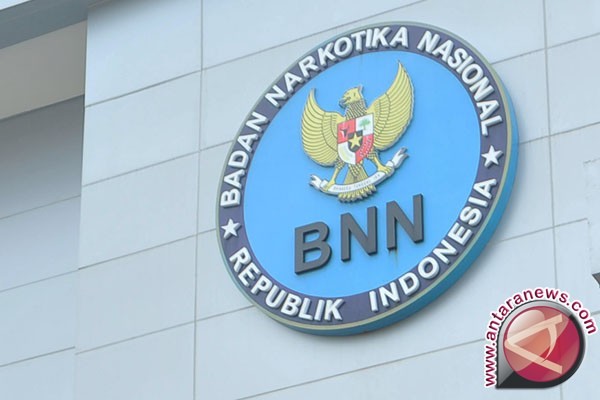 BNN petakan kawasan rawan ganja Aceh Besar   