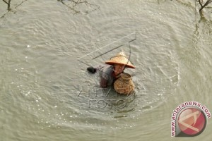 Tangkap Udang Dengan Tangan Tangkap Udang Dengan Tangan