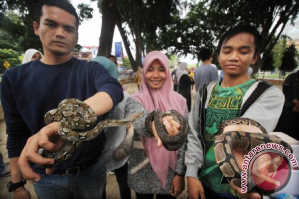  Edukasi  Binatang  Reptil  ANTARA News Aceh