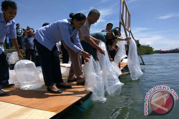 DKP: Pemanfaatan potensi perikanan baru 40 persen