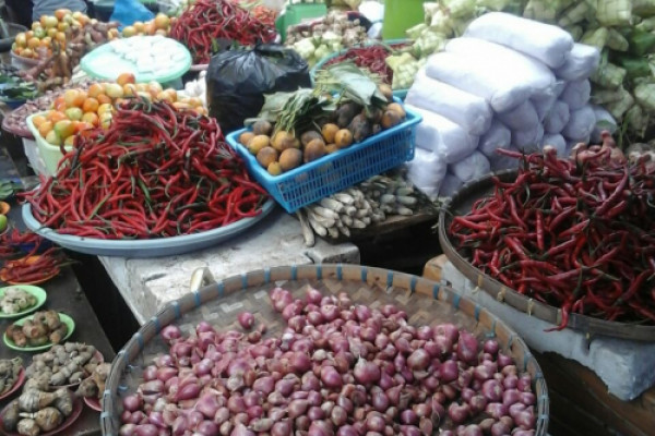 Harga cabai keriting di Ambon naik tajam
