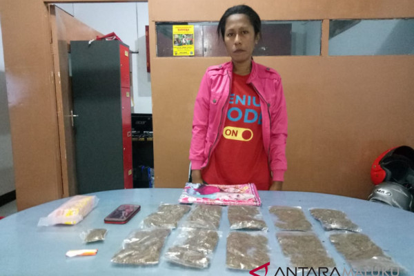 Polisi ringkus wanita pemilik 11 paket ganja