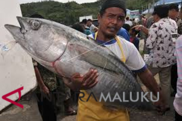 Kabupaten/Kota belum serahkan pengelolaan PPI ke DKP