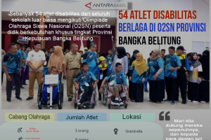 54 atlet disabilitas berlaga di O2SN Provinsi Bangka Belitung