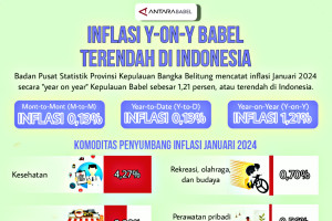 Inflasi y-on-y Babel terendah di Indonesia