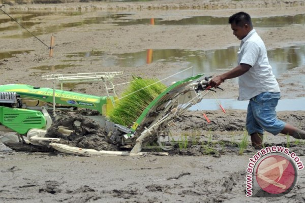 Ketua MPR Pertanian Harus Diiringi Teknologi ANTARA 