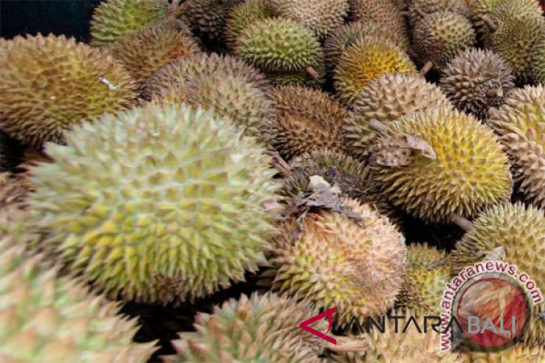Kandungan gizi dalam durian
