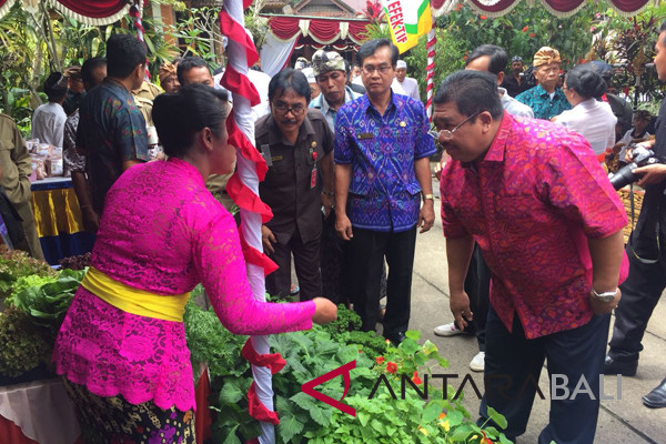 Bupati Buleleng lirik sektor pertanian di Gobleg