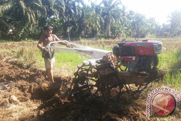 Distan Mukomuko optimalkan penggunaan Alsintan