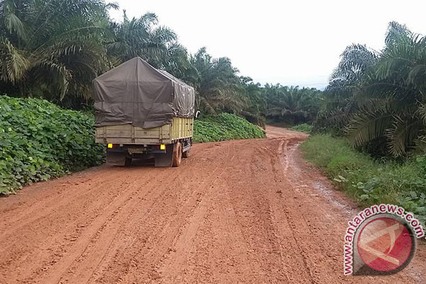 Mukomuko tambah anggaran pembangunan jalan usaha tani