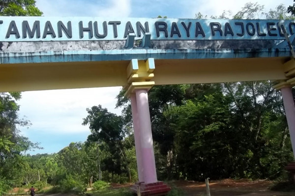 Pemda Bengkulu Tengah kelola Tahura Rajolelo