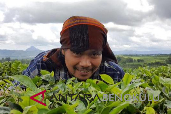 16 usulan hutan adat dari Bengkulu