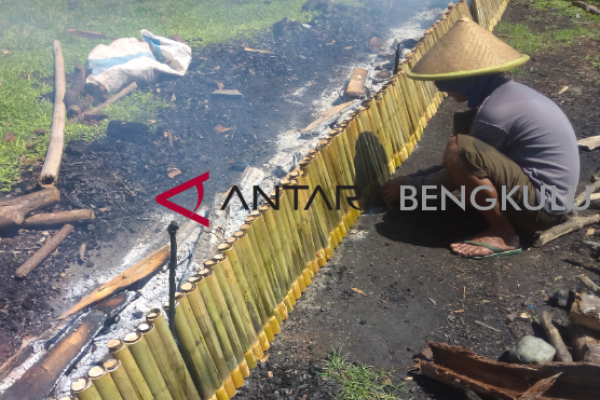 Bengkulu Selatan kembangkan destinasi wisata kuliner khas