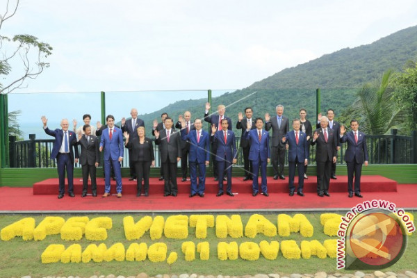 Image result for Gambar APEC vietnam