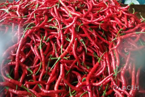 Harga cabe merah di Lhokseumawe turun