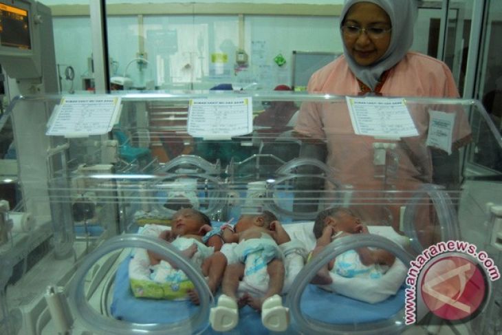 BPJS: bayi lahir sehat tidak harus gunakan JKN