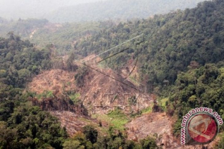 MAB-UNESCO dorong pembentukan kelembagaan Leuser