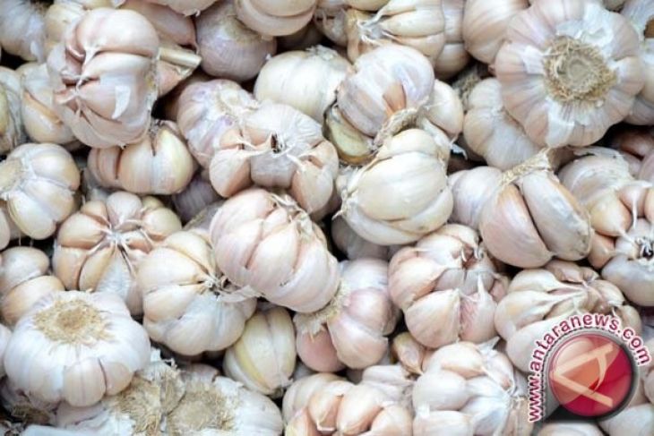 Bawang putih naik di Banda Aceh