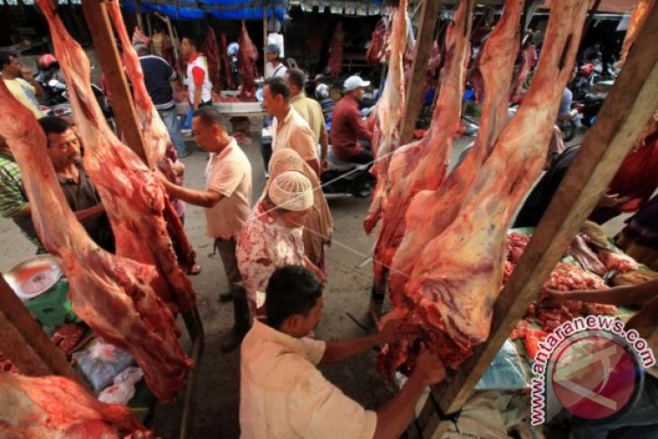 Daging