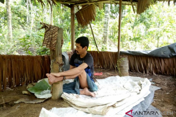 Pria gangguan jiwa Aceh Utara dipasung di kebun
