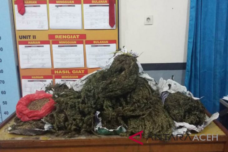 Seorang wanita PNS ditangkap saat kirim ganja ke luar Aceh