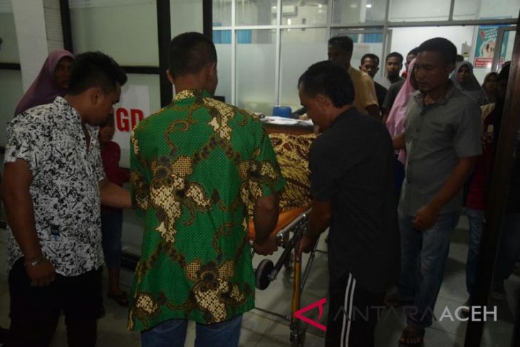 Napi di Aceh Timur tewas ketika melarikan diri