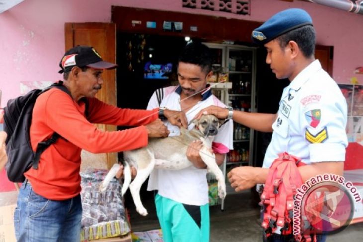 Kadinkes: antisipasi rabies harus mulai dari hulu
