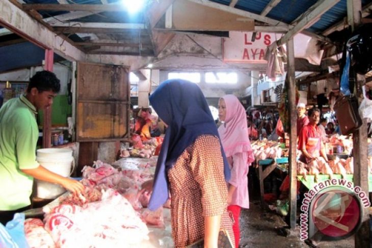 Harga daging ayam beku naik - ANTARA News Ambon, Maluku