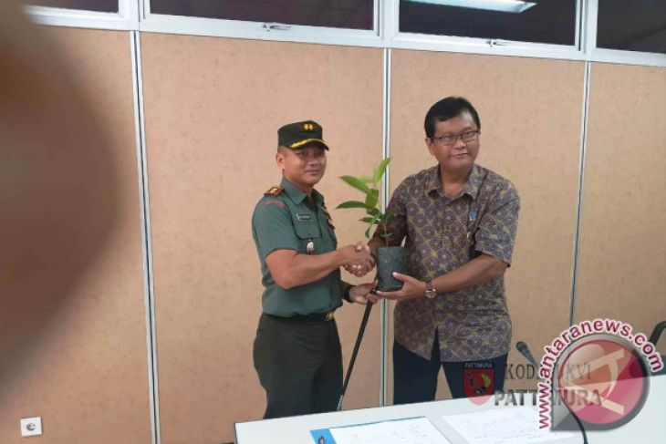LIPI Certifies Torem As Endemic Tree