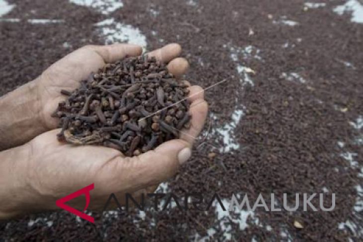 Mengembangkan Ternate jadi destinasi wisata rempah-rempah oleh La Ode Aminuddin