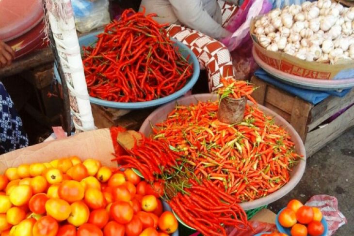 Harga cabai rawit di Ambon turun tajam