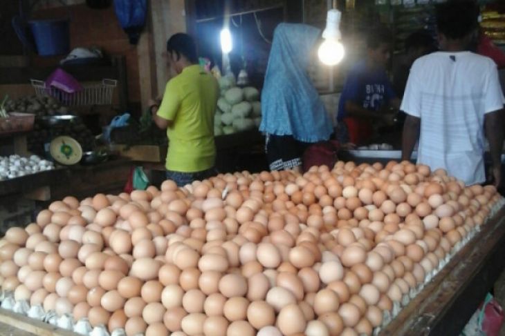 Harga telur ayam ras di Ambon naik