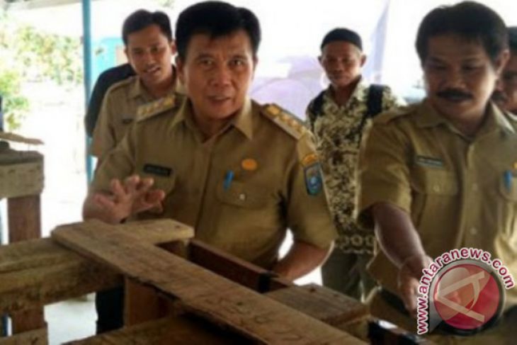 Bangka Tengah kembangkan budidaya lele sistem bioflok