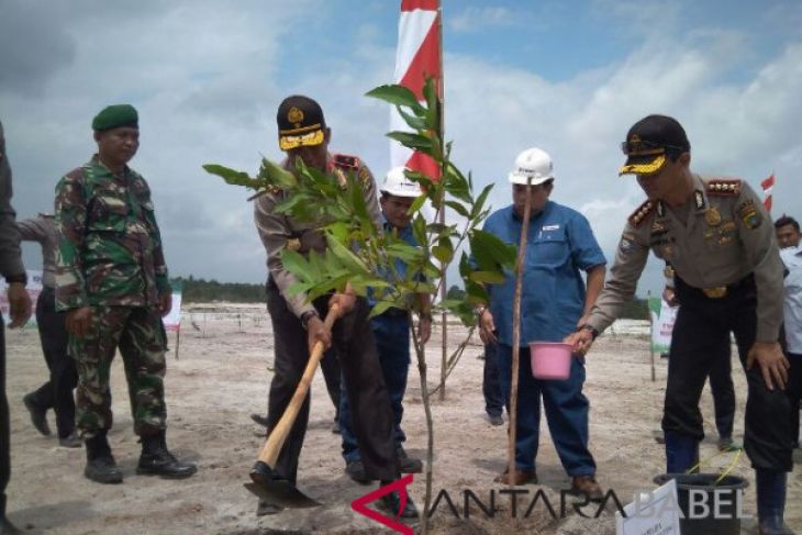 Polda Babel dan PT Timah hijaukan lahan bekas tambang