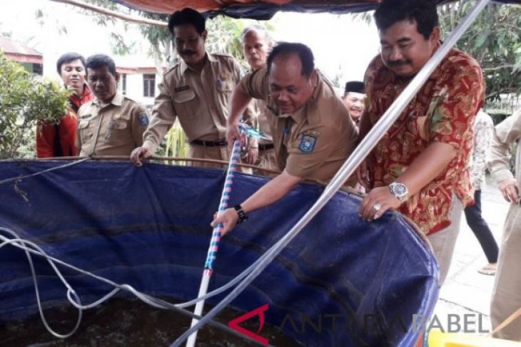 Kelompok pembudi daya panen lele bioflok (Video)