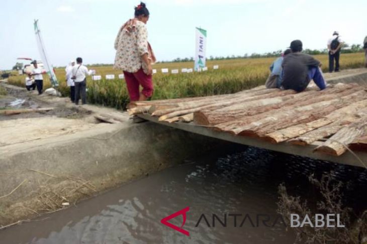 Warga Desa Rias keluhkan limbah tambang cemari sawah
