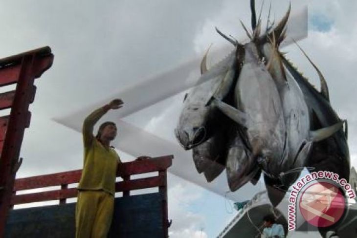 Bali Exports US$11.1 Million Worth Of Fish And Shrimps