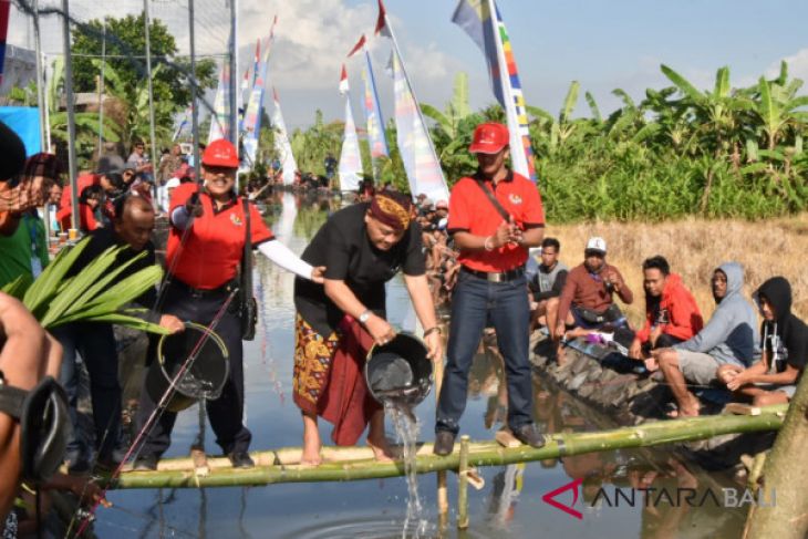 Badung lirik pengembangan potensi perikanan darat