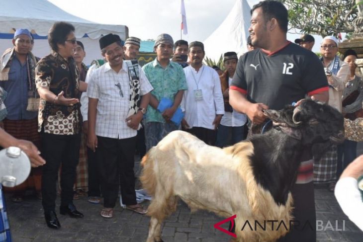 Wujud toleransi, bupati badung serahkan hewan kurban