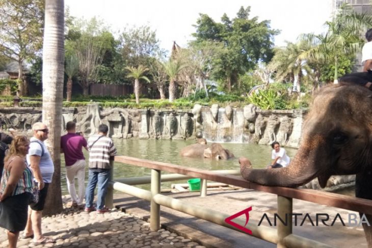 Hari Gajah Dunia,