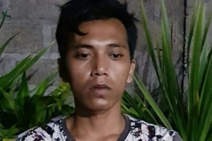 Polda Bali bekuk pejambret 14 TKP