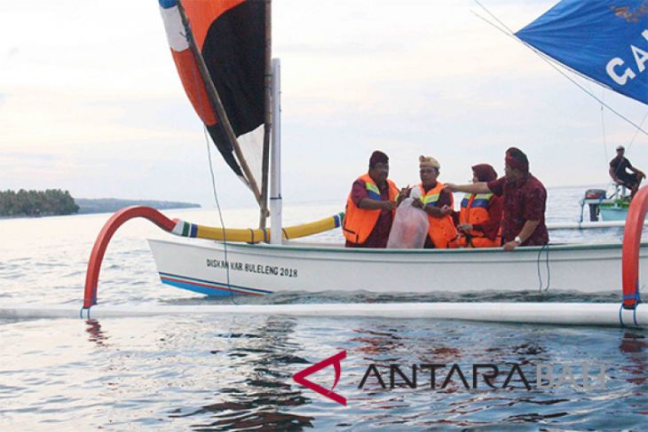 Bupati Buleleng: Pariwisata Bahari butuhkan sinergi