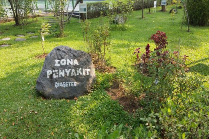 Intiland Kerja Sama Unair Kembangkan Tanaman Obat